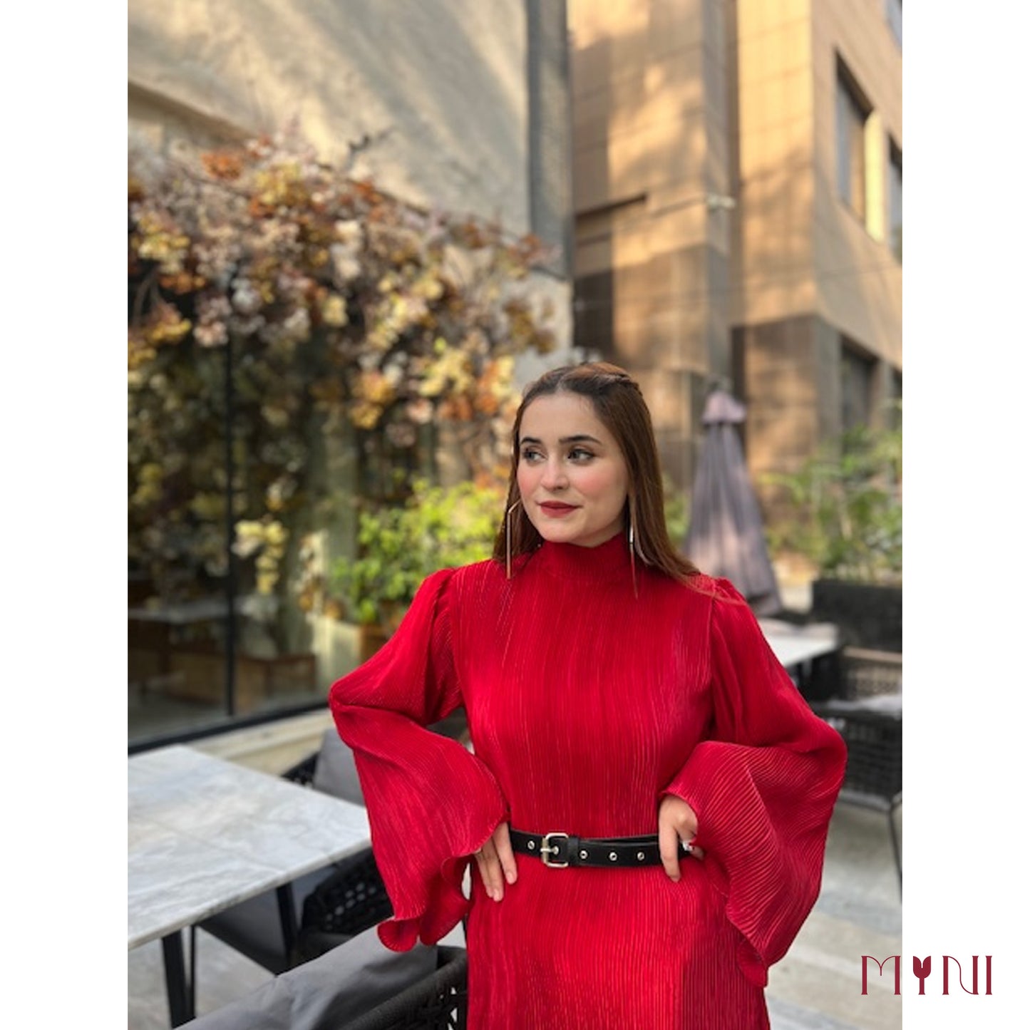 Scarlet - The Pleated Dress